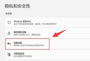 如何在Windows 11系统中为设备设置加密