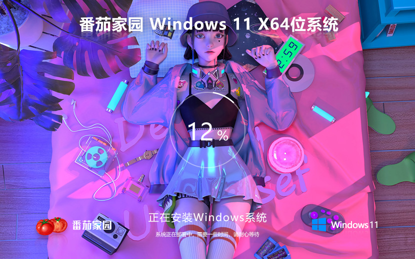 番茄花園 WIN11 23H2 x64 最新精簡專業(yè)版v2024.04