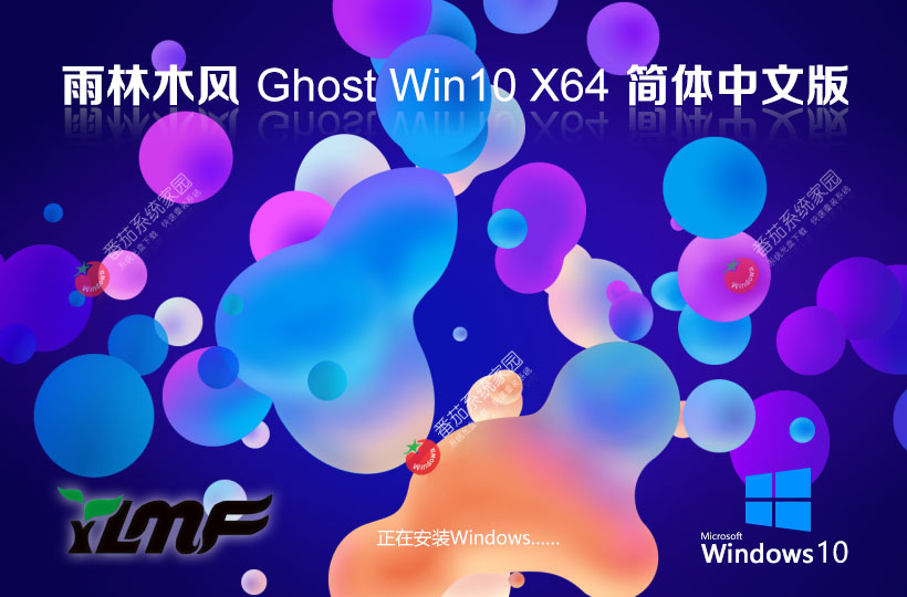 【駕馭極致，暢享游戲新境界 —— 游戲本專用 Windows10 64位 性能優(yōu)化專業(yè)版】