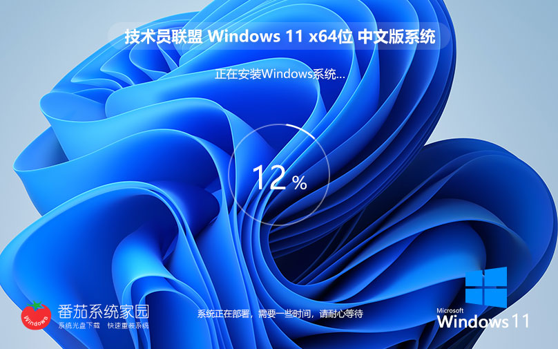 【六月更新】Windows11 23H2 精簡(jiǎn)專(zhuān)業(yè)版ISO鏡像