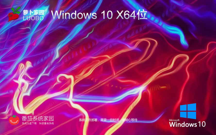 蘿卜家園 Windows10 64位 專業(yè)版（一鍵安裝）