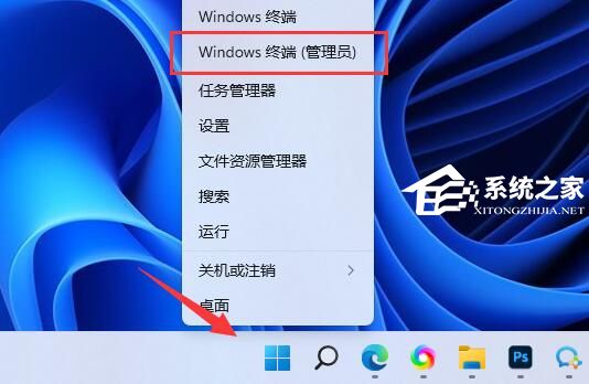 Win11怎么安裝微軟商店-Microsoft Store的安裝方法