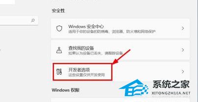 Win11如何关闭开发者模式-Win11关闭开发者模式的方法