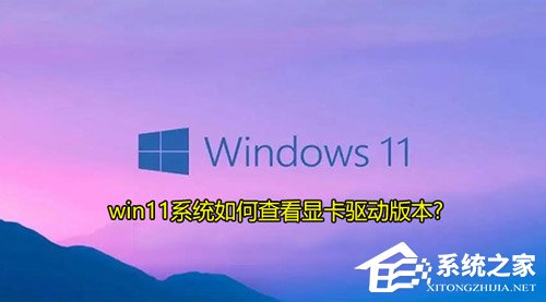 Win11如何查看顯卡驅(qū)動(dòng)版本