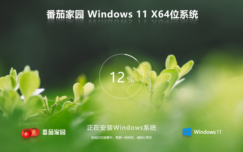 番茄家園Windows11 23H2 清爽純凈版