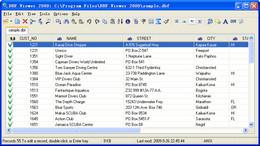 DBF Viewer