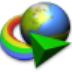 Internet Download Manager