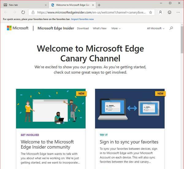 Microsoft Edge Canary(Chromium Edge金絲雀版)