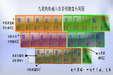 極點九筆輸入法?1.0