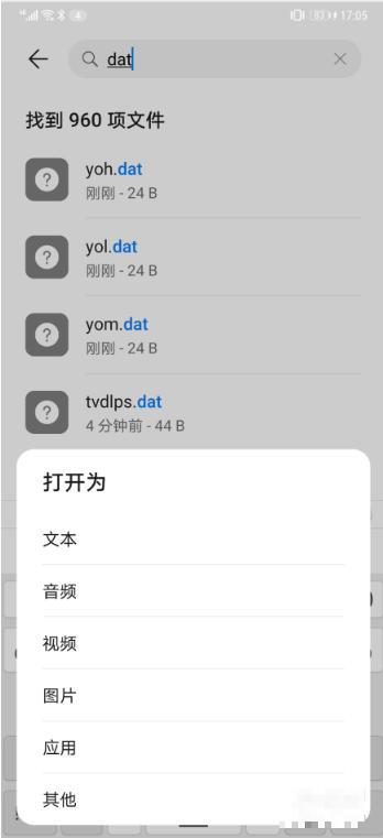 dat格式手机怎么看图文教程