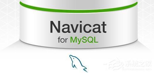 navicat for mysql注冊(cè)碼大全