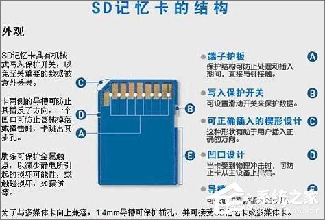 TF卡和SD卡的区别在哪？一分钟搞懂！