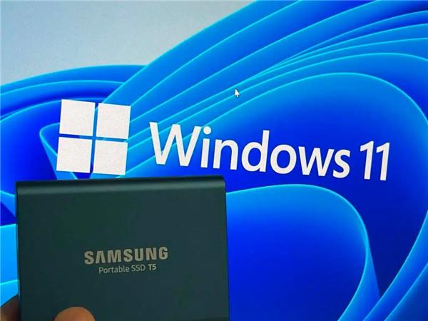 怎么在Windows11中備份文件并降級回Windows10？