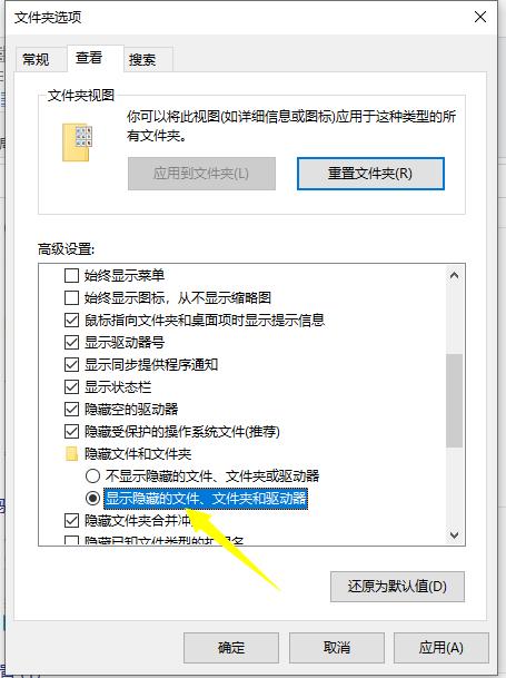 Win10怎么从电脑查找隐藏视频？电脑查找隐藏视频的方法