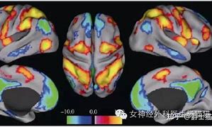 当连接到网络时执行特定的程序