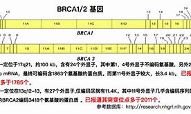 肿么检测 一般用什么工具检测